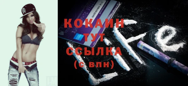 твердый Гусь-Хрустальный