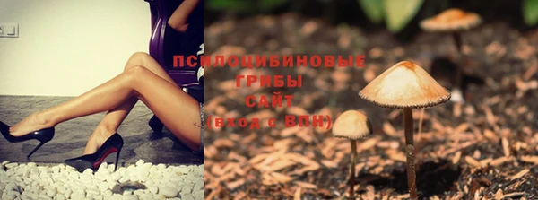 тгк Гусиноозёрск