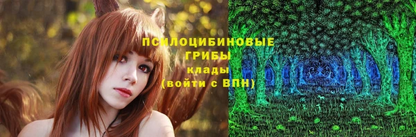 тгк Гусиноозёрск