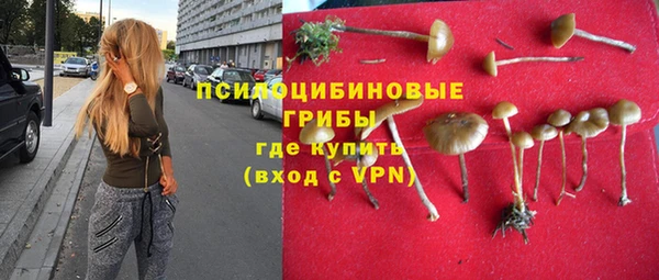 тгк Гусиноозёрск