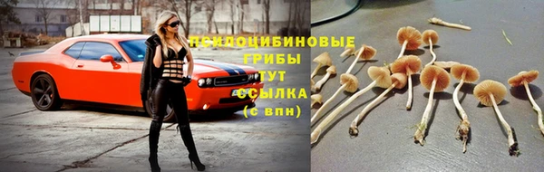 меф VHQ Гусев