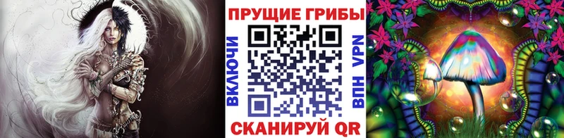 Галлюциногенные грибы Psilocybine cubensis  Купить  Нюрба 